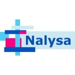 Lowongan PT Nalysa