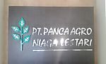 Lowongan PT Panca Agro Niaga Lestari