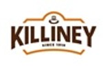Lowongan PT ADRI UTAMA KARYA (KILLINEY)