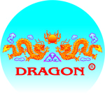 Lowongan PT. DRAGON PRODUCT INDONESIA