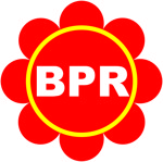 Lowongan PT. BPR SATRIA PERTIWI SEMARANG