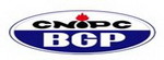 Lowongan PT BGP INDONESIA