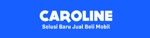 Lowongan PT CAROLINE KARYA TEKNOLOGI