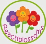Lowongan Peachblossoms National Plus School