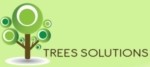 Lowongan PT Trees Solutions