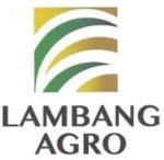 Lowongan Lambang Agro Plantation