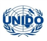 Lowongan United Nations Industrial Development Organization