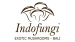 Lowongan PT Indofungi Lestari Bali