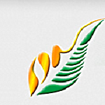 Lowongan PT Bumitama Gunajaya Agro