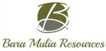 Lowongan PT Bara Mulia Resources (Jakarta)