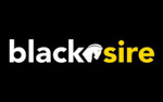 Lowongan Black Sire