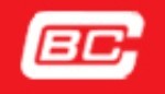 Accounting Officer (Chinabank Insurance Brokers, Inc.)