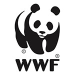 Junior Finance Executive