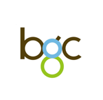 BGC Group (Outsourcing) job vacancy