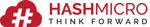 Lowongan Hashmicro Pte. Ltd.
